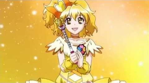 10th Anniversary Congratulatory Message Pretty Cure Wiki Fandom