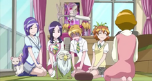 HSPC38, Pretty Cure Wiki