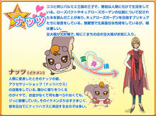 From Toei's old Yes! Pretty Cure 5 GoGo! website, with Nuts' prince outfit