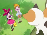 Mahou Tsukai Pretty Cure! Minor Characters