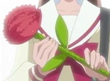 Nanami Heart Flower