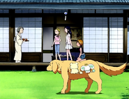 Sanae les ofrece té mientras las mascotas se esconden.