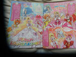 Premium Forms and Princess Music Palace Scan