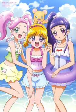 Mahou Tsukai Pretty Cure!, Pretty Cure Wiki