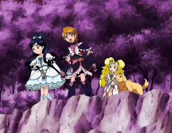 HSPC40, Pretty Cure Wiki