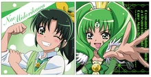 Cure March / Midorikawa Nao reversible cushion cover
