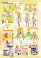 Cure Sparkle from the Official Complete Book (part 2)