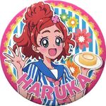 Haruka badge