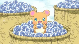 MTPC37 Mofurun holding a frozen mandarin