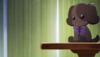 STPC49 A dog plushie in Hikaru's room