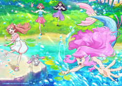 Pretty Cure All Stars F, Pretty Cure Wiki