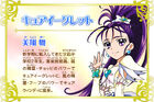 Cure Egret profil w Precure All Stars New Stage 3 Eien no Tomodachi