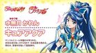 Cure Aqua profil w Precure All Stars DX 3 Mirai ni Todoke! Sekai wo Tsunagu ☆ Niji-Iro no Hana