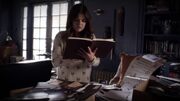 Aria-4x21.jpg