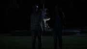 Pll604 382.jpg