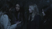 PLL201 (15)