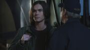PLL121-1153.jpg