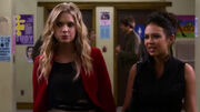 PLL223 (11)