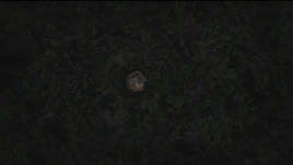 A's Dollhouse Location