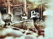 Exploring Ravenswood.jpg (143 KB)