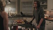 PLL204-0691.jpg