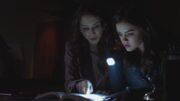 PLL225-00380.jpg