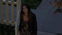 PLL 5x20 264