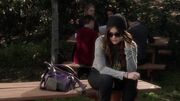 Aria-4x22.jpg