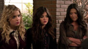 PLL222 (6)