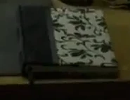 PLL Ali Diary Cover.png.png (93 KB)