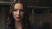 PLL217-01209.jpg