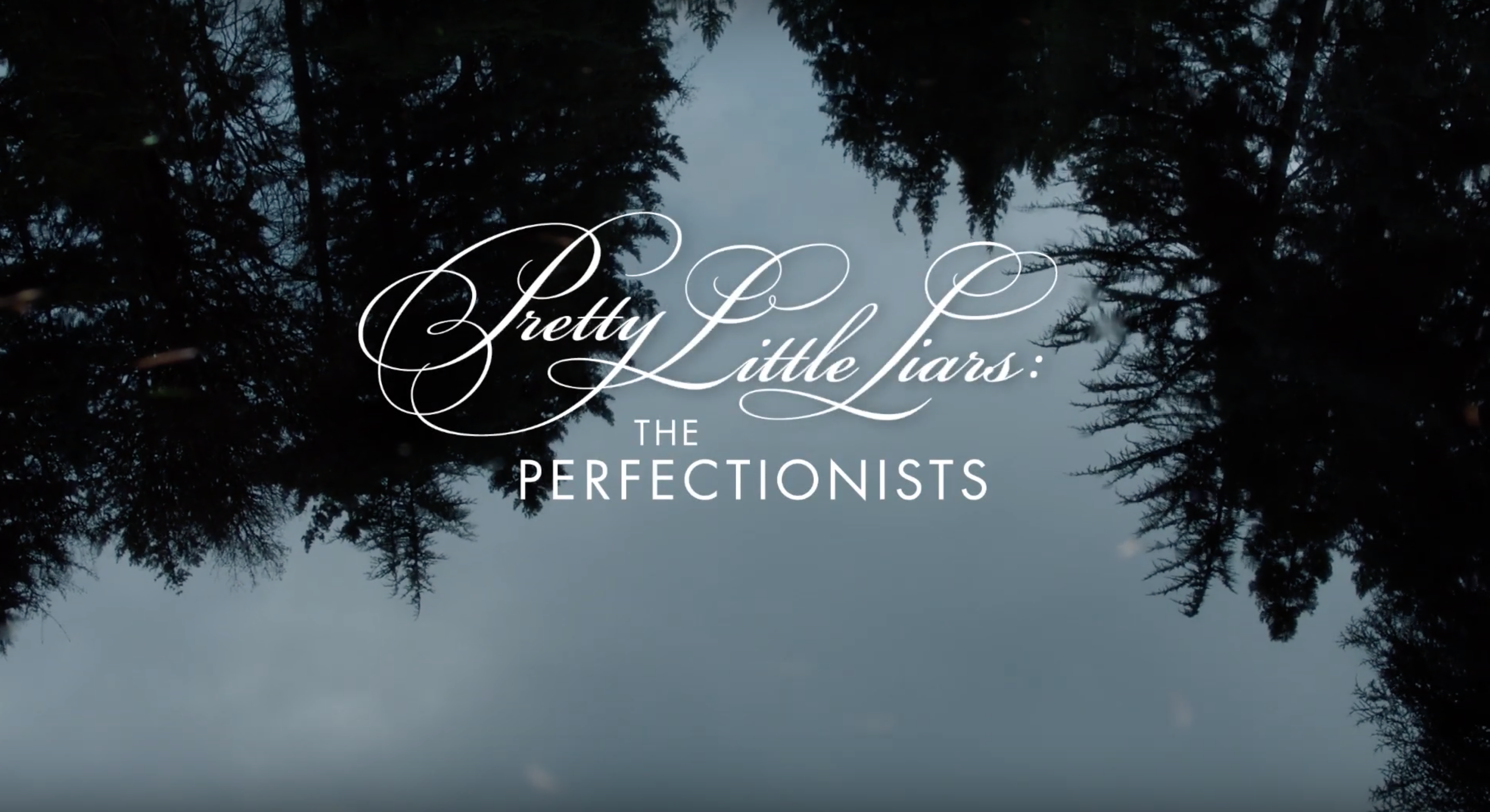 The Perfectionist