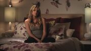 PLL207-00382.jpg