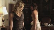 PLL212-00846.jpg