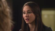 PLL222-00209.jpg
