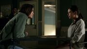 PLL303-1303.jpg