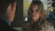 PLL108-00537.jpg