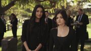 PLL205-0794.jpg