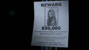 PLL304-0076.jpg