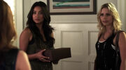 PLL209 (6)