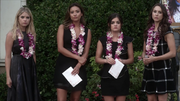 Pll~5x14-1