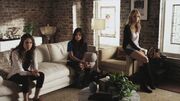 PLL211-00093.jpg
