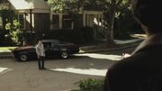 PLL215-00805.jpg