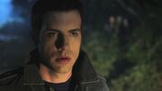 PLL122-1005.jpg