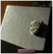 2013-08-28 14-00-41.jpg (44 KB) Alison's other Diary