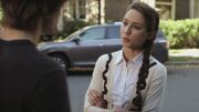 PLL117-0356.jpg