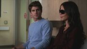 PLL223-00324.jpg