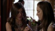 PLL309-0008.jpg