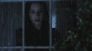PLL217-00858.jpg