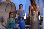 Pll~5x13-2